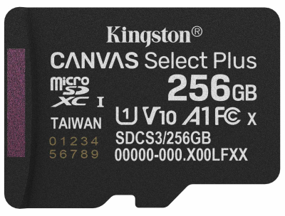 Карта памяті Kingston MicroSDXC 256GB UHS-I Class 10 (SDCS3/256GBSP) www.bd.in.ua Безпечний Дім