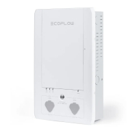 Зарядний пристрій Ecoflow Smart Home Panel Combo www.bd.in.ua Безпечний Дім
