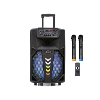 Автономна акустична система BIG 240STAR USB/MP3/FM/BT/TWS + 2pcs VHF mic www.bd.in.ua Безпечний Дім