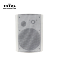 Настінний динамік BIG MSB504-8Ohm/100V WHITE 80W www.bd.in.ua Безпечний Дім