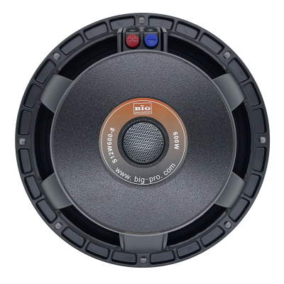 Колонка BIG S12W600-4 www.bd.in.ua Безпечний Дім