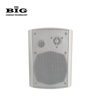 Пасивна акустична система BIG MSB404 WHITE 60W 8Ohm/100V www.bd.in.ua Безпечний Дім