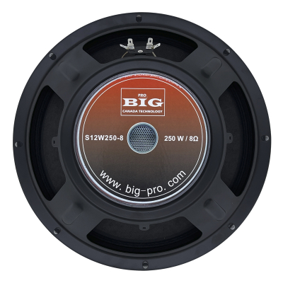 Колонка BIG S12W250-4 www.bd.in.ua Безпечний Дім