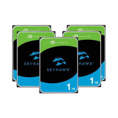 HDD накопичувач Seagate SkyHawk ST1000VX013 (комплект 25 шт) www.bd.in.ua Безпечний Дім