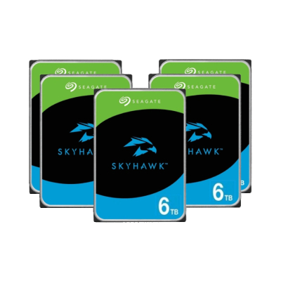 HDD накопичувач Seagate SkyHawk ST6000VX009 (комплект 20шт) www.bd.in.ua Безпечний Дім