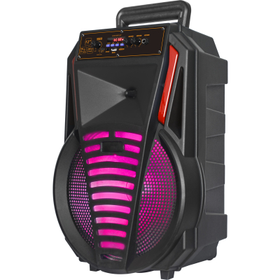 Автономна акустична система BIG 12PREDATOR usb/mp3/fm/bt www.bd.in.ua Безпечний Дім