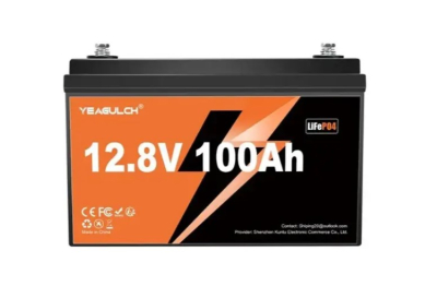 Акумуляторна батарея YEAGULCH Mini Max LiFePO4 12,8V 100Ah 1280Wh, BMS-100A www.bd.in.ua Безпечний Дім