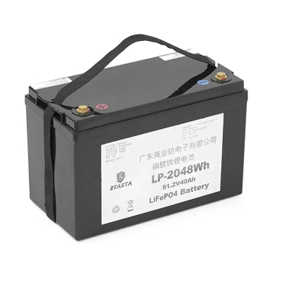 Акумуляторна батарея Eyasta LP-2048Wh LiFePO4 51,2V 40Ah 2048Wh (325x173x220), 15.9kg www.bd.in.ua Безпечний Дім