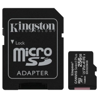 Карта памяті Kingston 256GB microSDXC www.bd.in.ua Безпечний Дім