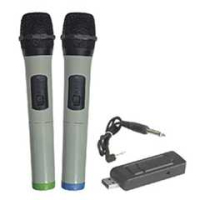 Радіосистема BIG USB MIC2 www.bd.in.ua Безпечний Дім