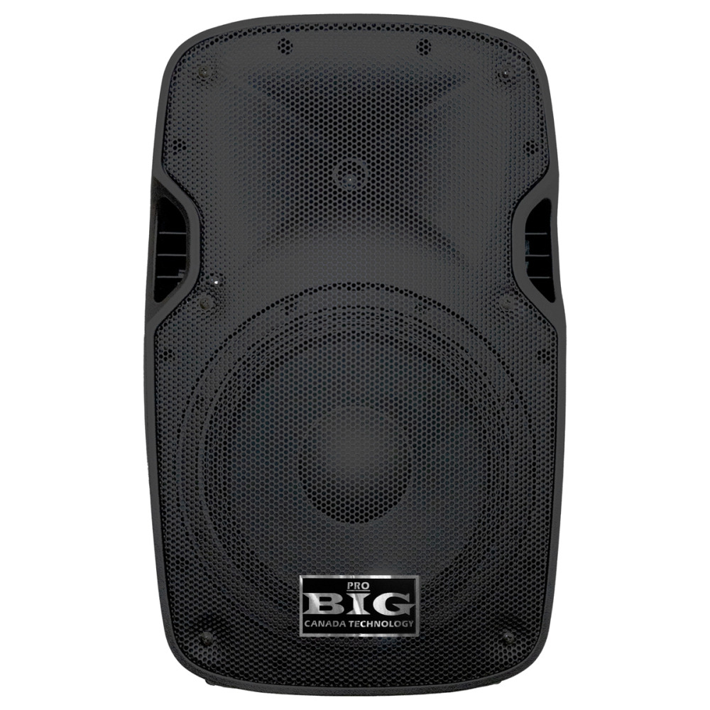 Пасивна акустична система BIG JB15L500W8Ohm