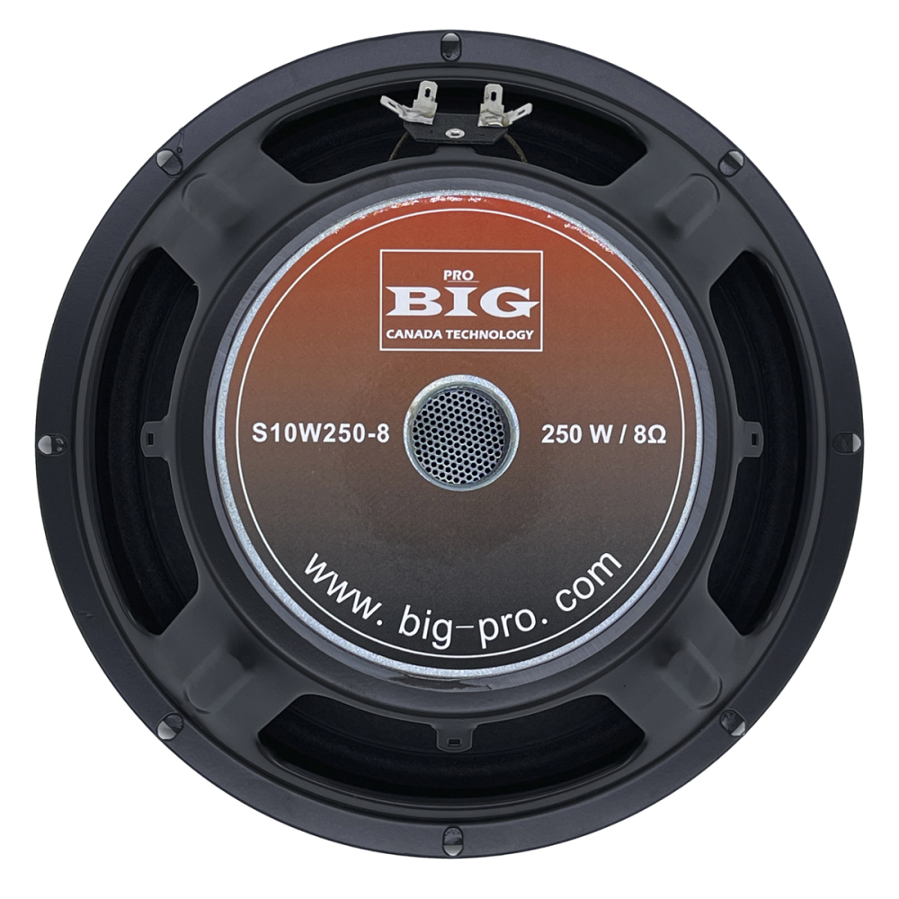 Динамік BIG S10W250-8