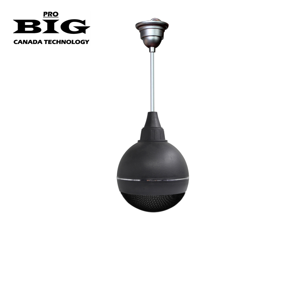 Підвісний динамік BIG SOUND BALL 50W BLACK