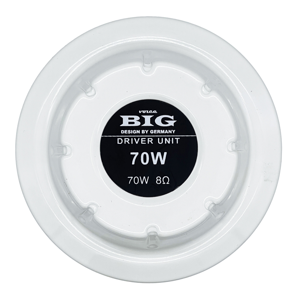 Драйвер BIG DRIVER70W8