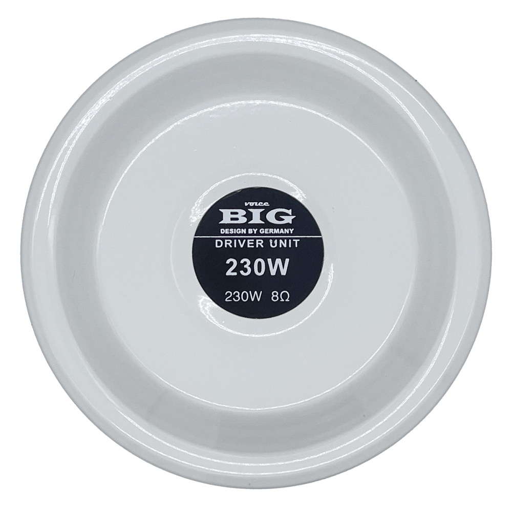 Драйвер BIG DRIVER230W8