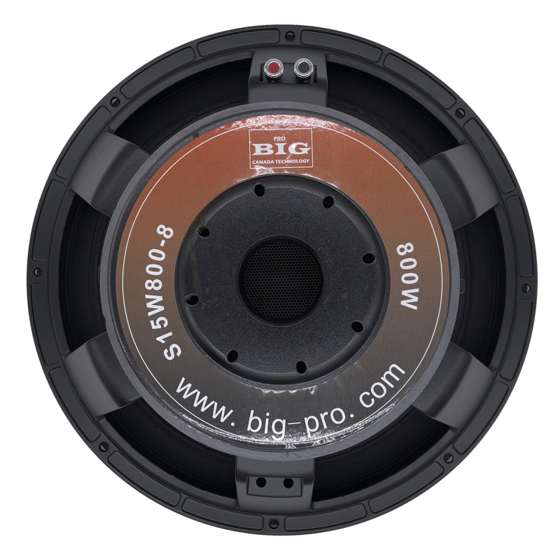 Колонка BIG S15W800-8