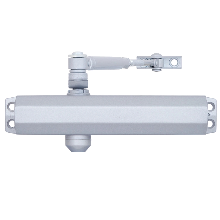 Дотягувач дверей RYOBI 2000 D-2005V SILVER