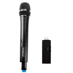 Радіосистема BIG USB MIC1