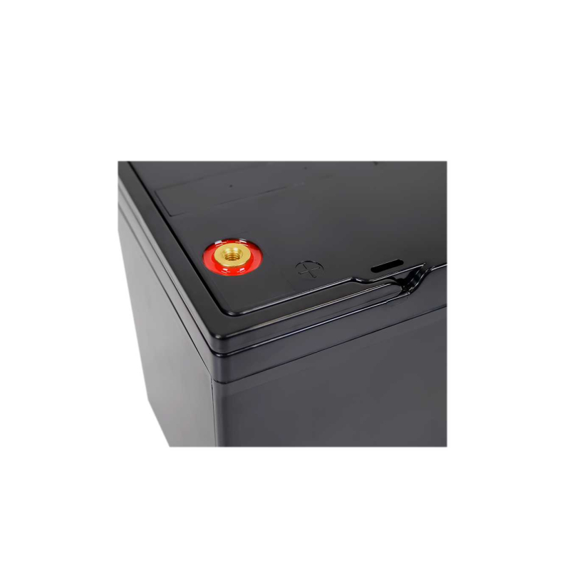 Акумулятор LogicPower LP LiFePO4 12V - 100 Ah (Smart BMS 60A/30А) пластик
