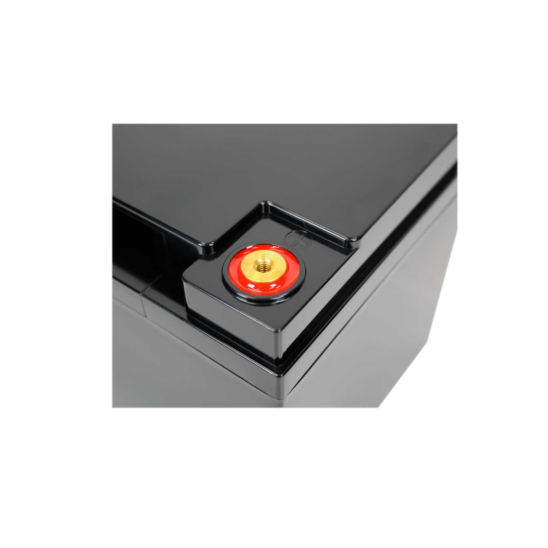Акумулятор LogicPower LP LiFePO4 12V - 50 Ah (Smart BMS 60A/30А) пластик