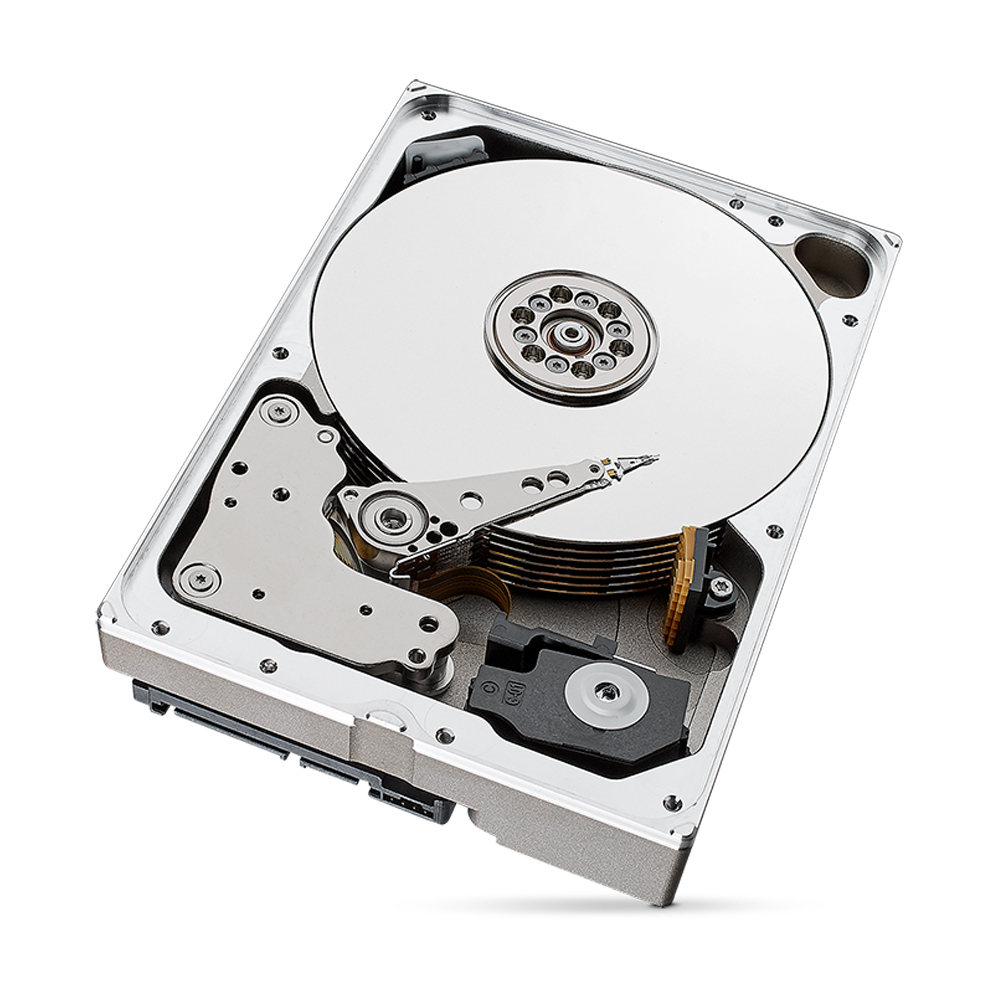 HDD накопичувач Seagate SkyHawk AI ST10000VE001