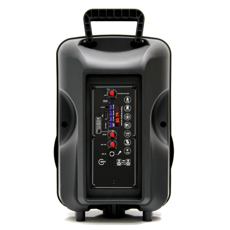 Автономна акустична система BIG 804GALAXY USB/MP3/FM/BT/TWS + Шнуровой микрофон