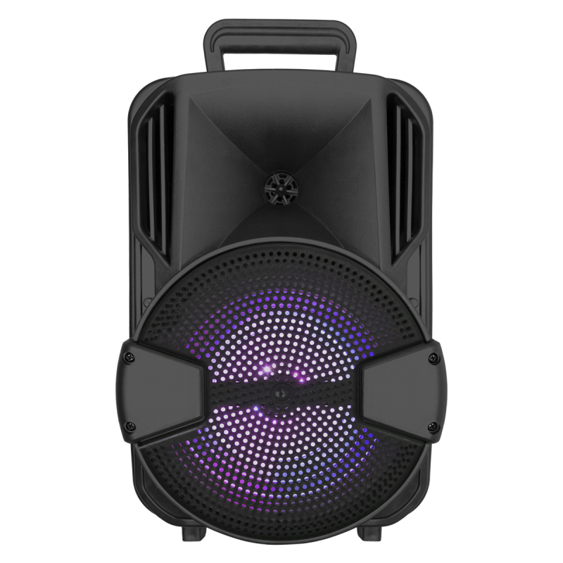 Автономна акустична система BIG 100BLUE SKY USB/MP3/FM/BT/TWS + 2pcs VHF mic