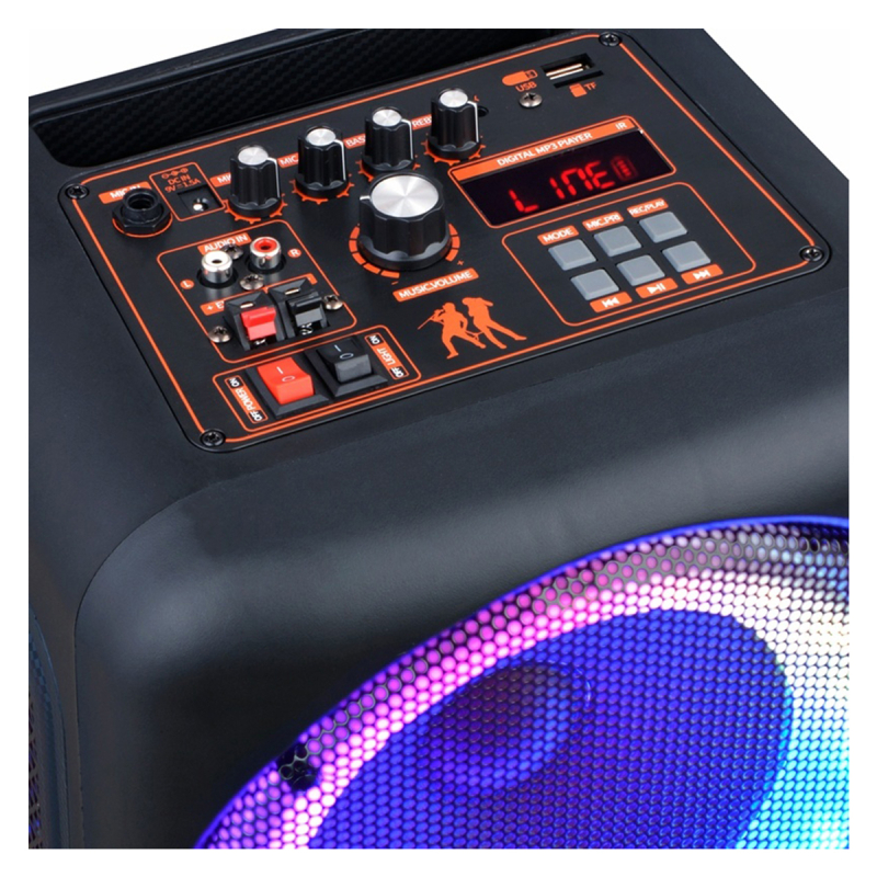Автономна акустична система BIG JB X828  USB/MP3/FM/BT/TWS + 2pcs VHF mic