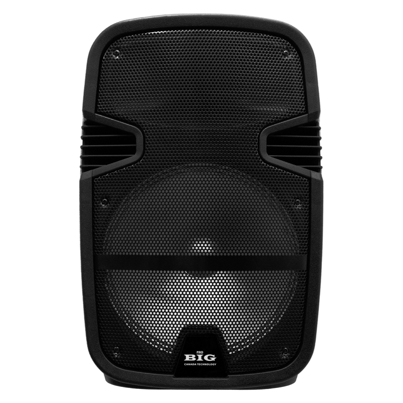 Автономна акустична система BIG 300TORNADO USB/MP3/FM/BT/TWS + 2pcs VHF mic