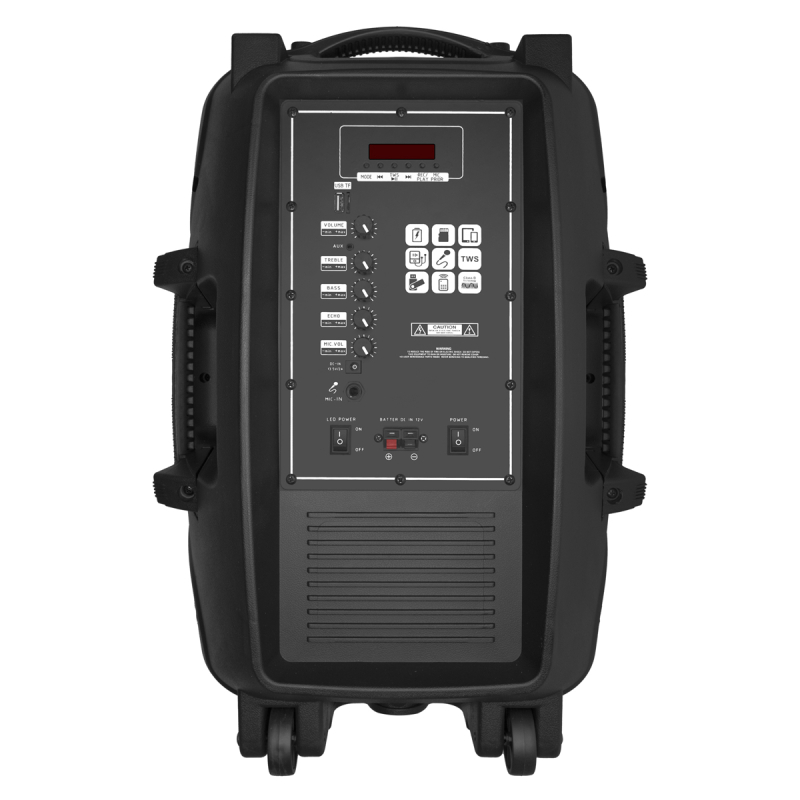 Автономна акустична система BIG BIG350STORM USB/MP3/FM/BT/TWS + 2pcs VHF mic