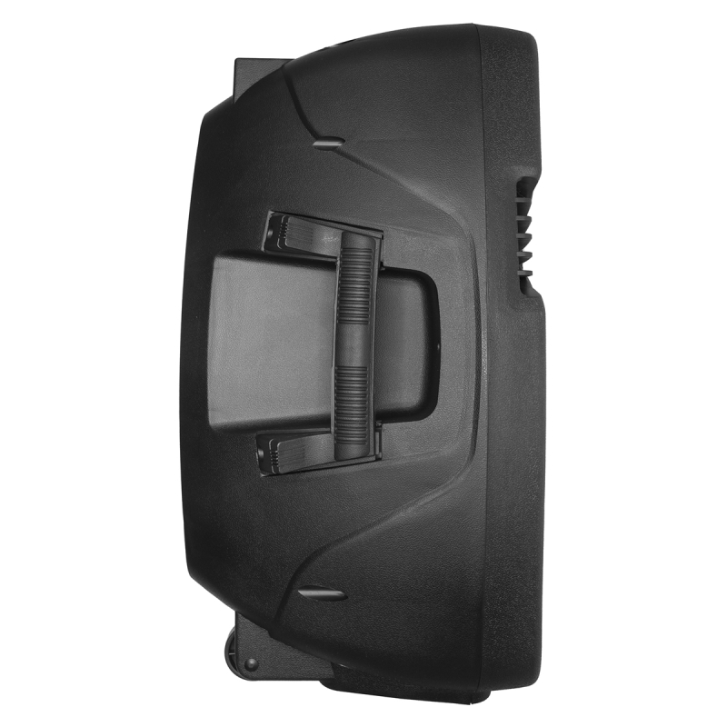 Автономна акустична система BIG BIG350STORM USB/MP3/FM/BT/TWS + 2pcs VHF mic