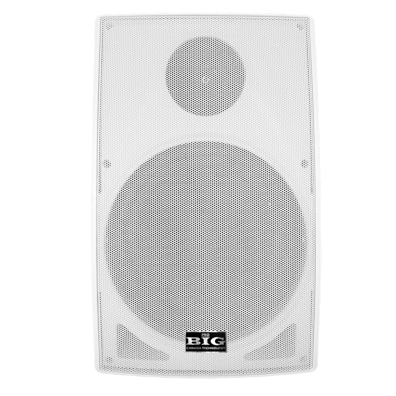 Настінний динамік BIG MSB888-8Ohm/100V WHITE 180W