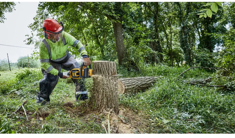 Пила ланцюгова акумуляторна DeWALT DCMCS574N