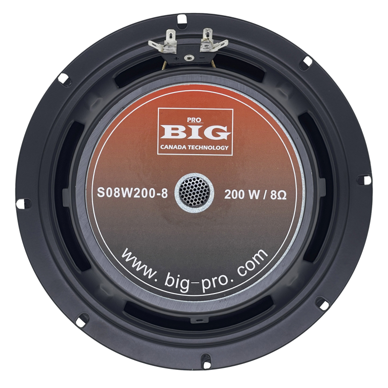 Колонка BIG S08W200-8