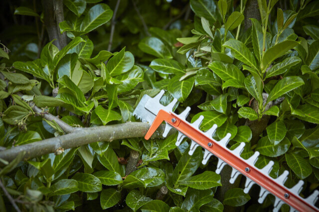 Кущоріз BLACK+DECKER BEHTS551