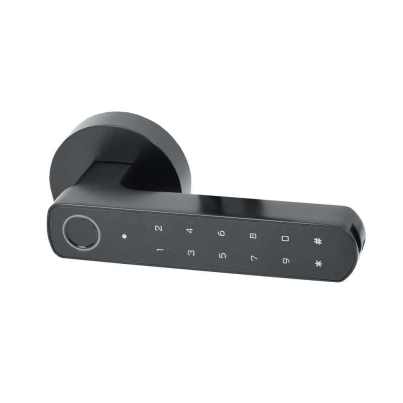 Замок Atis Lock BT-100-T Black з доступом за відбитком пальця і підтримкою Tuya Smart