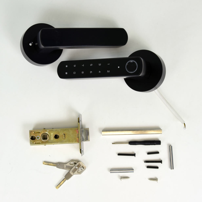Замок Atis Lock BT-100-T Black з доступом за відбитком пальця і підтримкою Tuya Smart