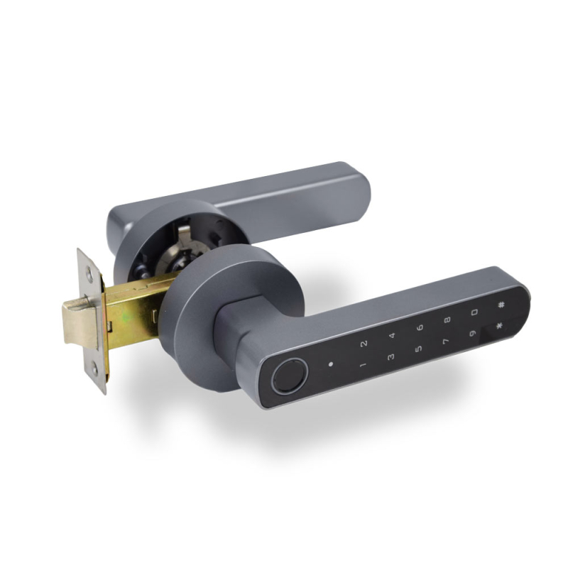 Замок Atis Lock BT-100-T Grey з доступом за відбитком пальця і підтримкою Tuya Smart