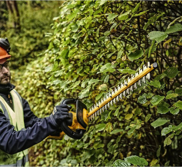 Акумуляторний кущоріз DeWALT DCMPH566P1