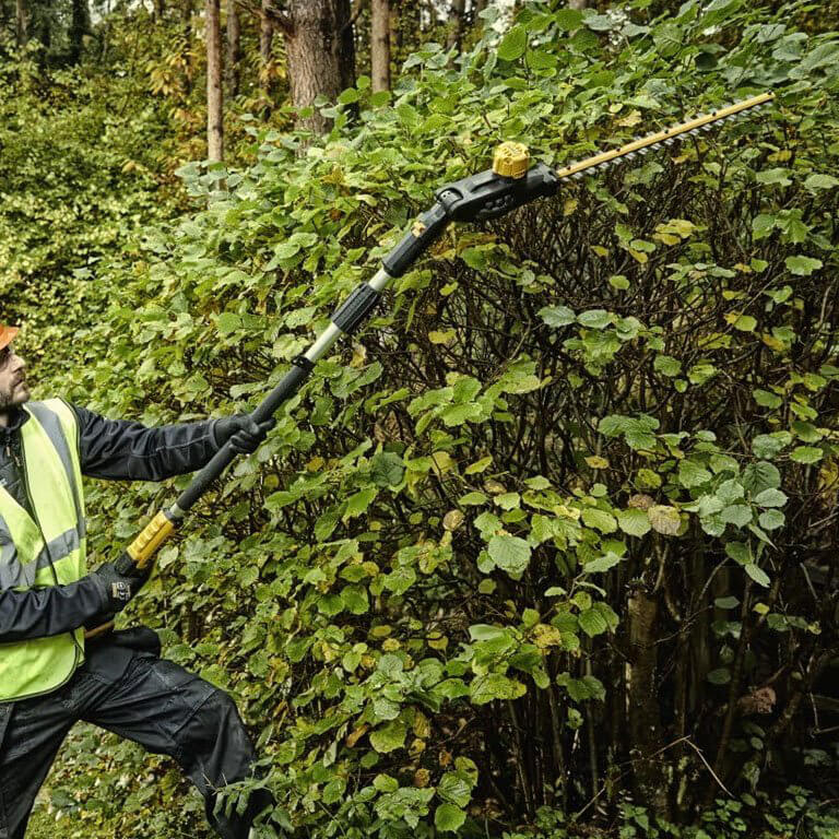 Акумуляторний кущоріз DeWALT DCMPH566P1